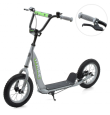 Самокат міський iTrike SR 2-043-1-G підлітковий