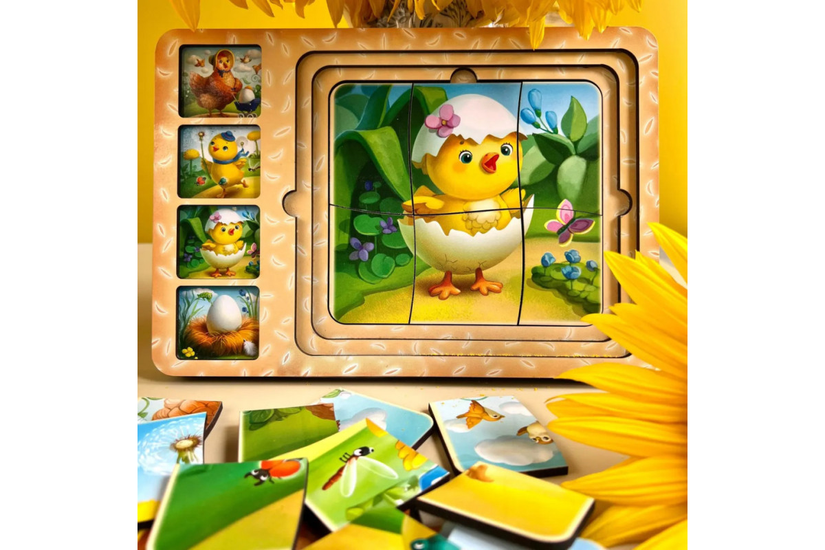 Дерев'яна настільна гра "Етапи розвитку курочки" Ubumblebees (ПСФ018) PSF018 сортер-пазл