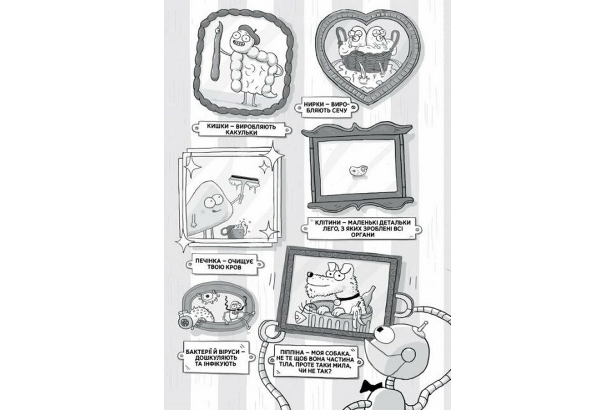 Энциклопедия дошкольника "Анатомия для детей" 154101