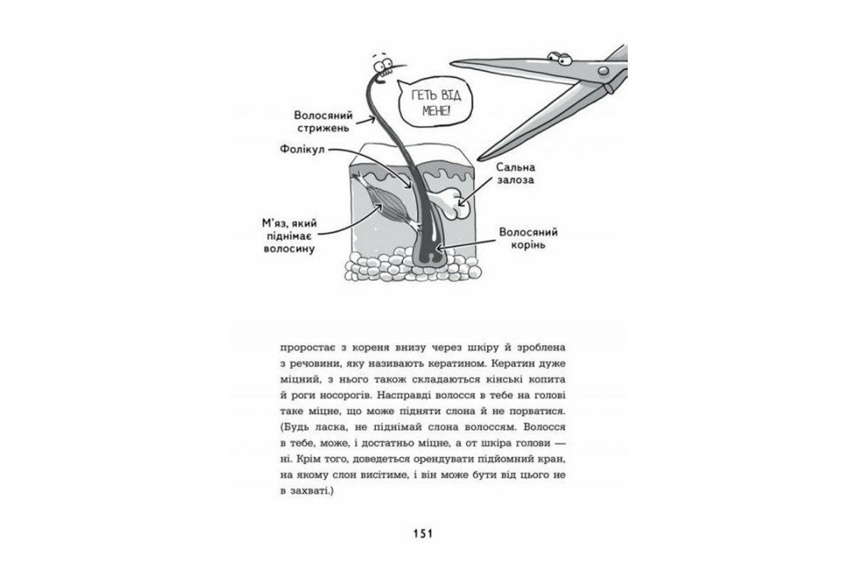 Энциклопедия дошкольника "Анатомия для детей" 154101