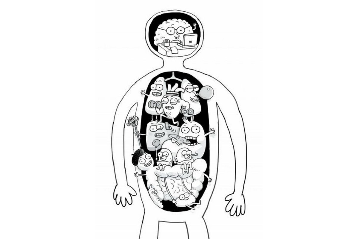 Энциклопедия дошкольника "Анатомия для детей" 154101