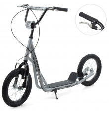 Самокат міський iTrike SR 2-045-1-G підлітковий