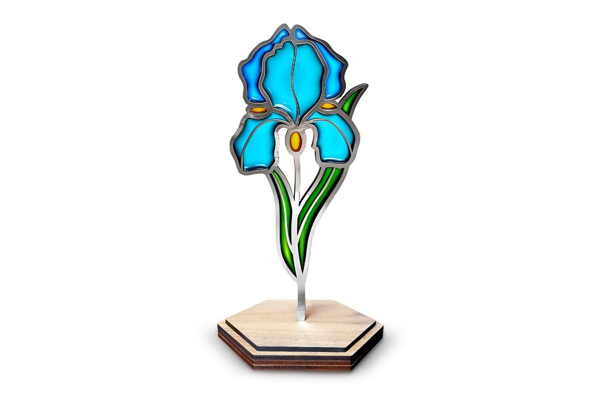 Набор для витражной живописи по номерам "Нежный ирис" FDSGK-013