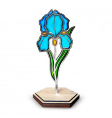 Набор для витражной живописи по номерам "Нежный ирис" FDSGK-013