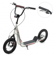 Самокат міський iTrike SR 2-045-3-W підлітковий