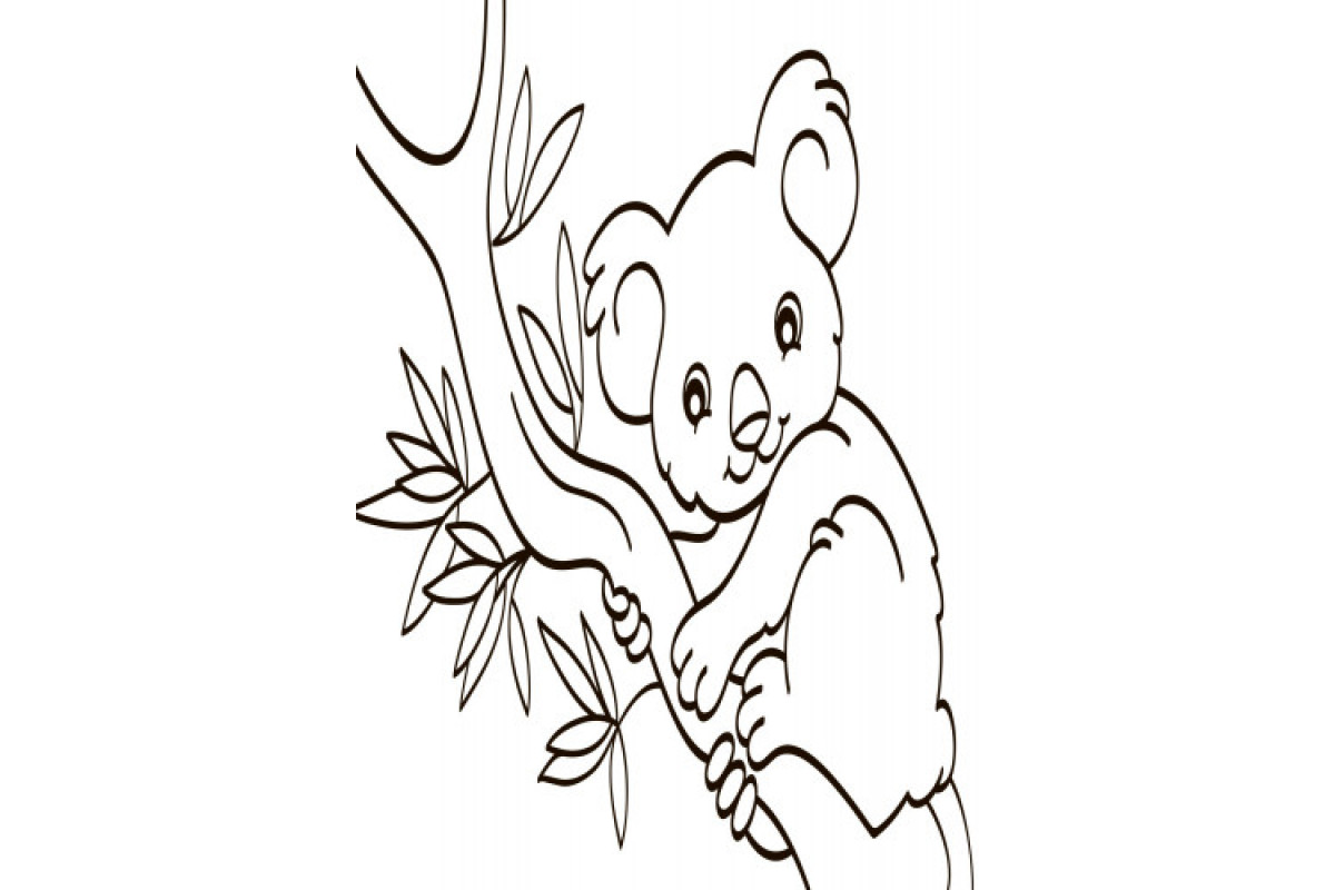 Детская водная раскраска : Экзотические животные 734012, 8 страниц