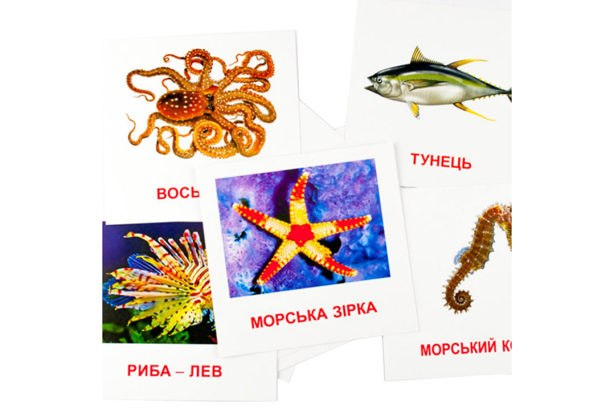 Розвиваючі картки "Морські мешканці" (110х110 мм) 72752 укр. /англ. мовою