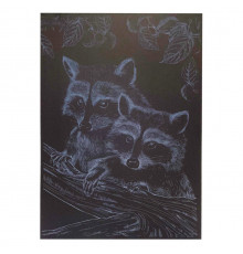 Гравюра А4 "Енот" ГрА4-16с эконом вариант в пакете 29,7х21 см