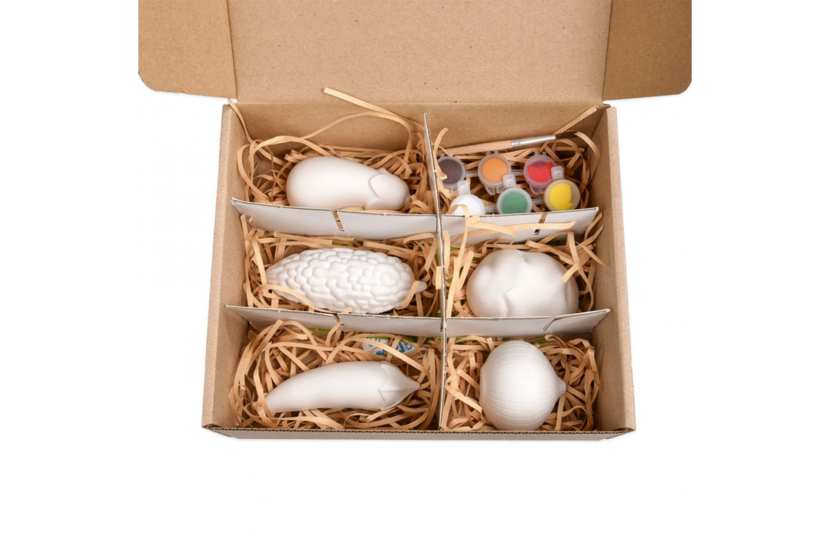 Набір для творчості Гіпсові розмальовки "Розфарбуй овочі" 31000