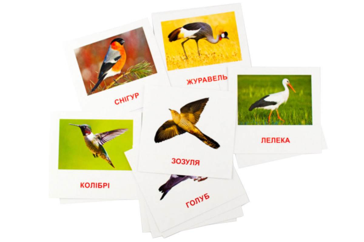 Розвиваючі картки "Птахи" (110х110 мм) 72753 укр. /англ. мовою