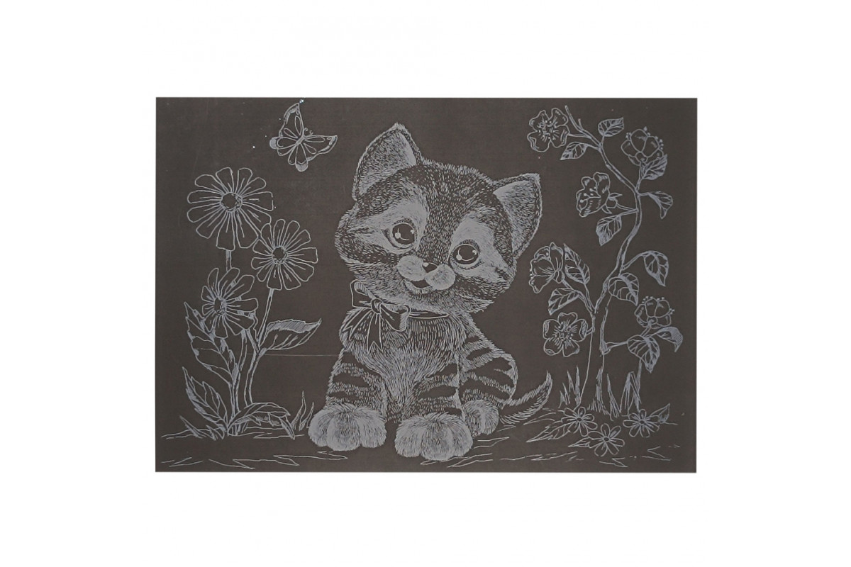 Гравюра А5 "Котик-2" ГрА5с-28 эконом вариант в пакете 21 х 14,8 см