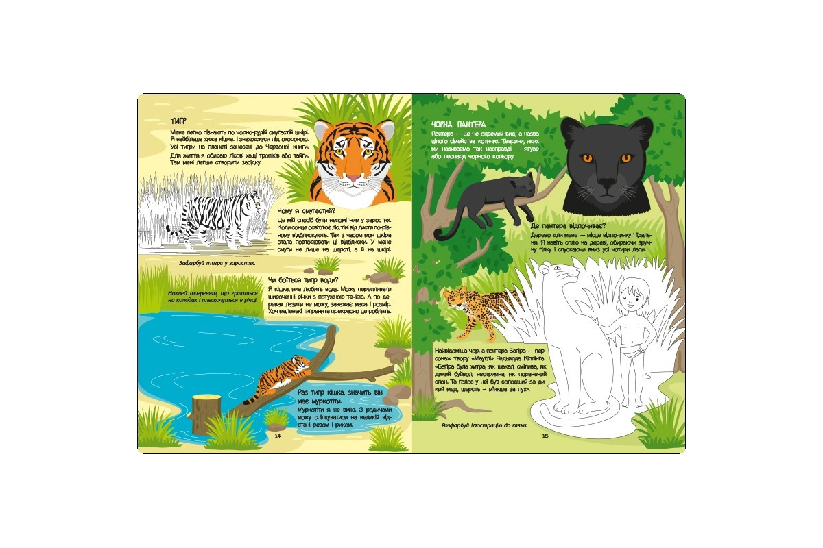 Розвиваючий зошит "Червона книга про хижаків" 15207 з наклейками