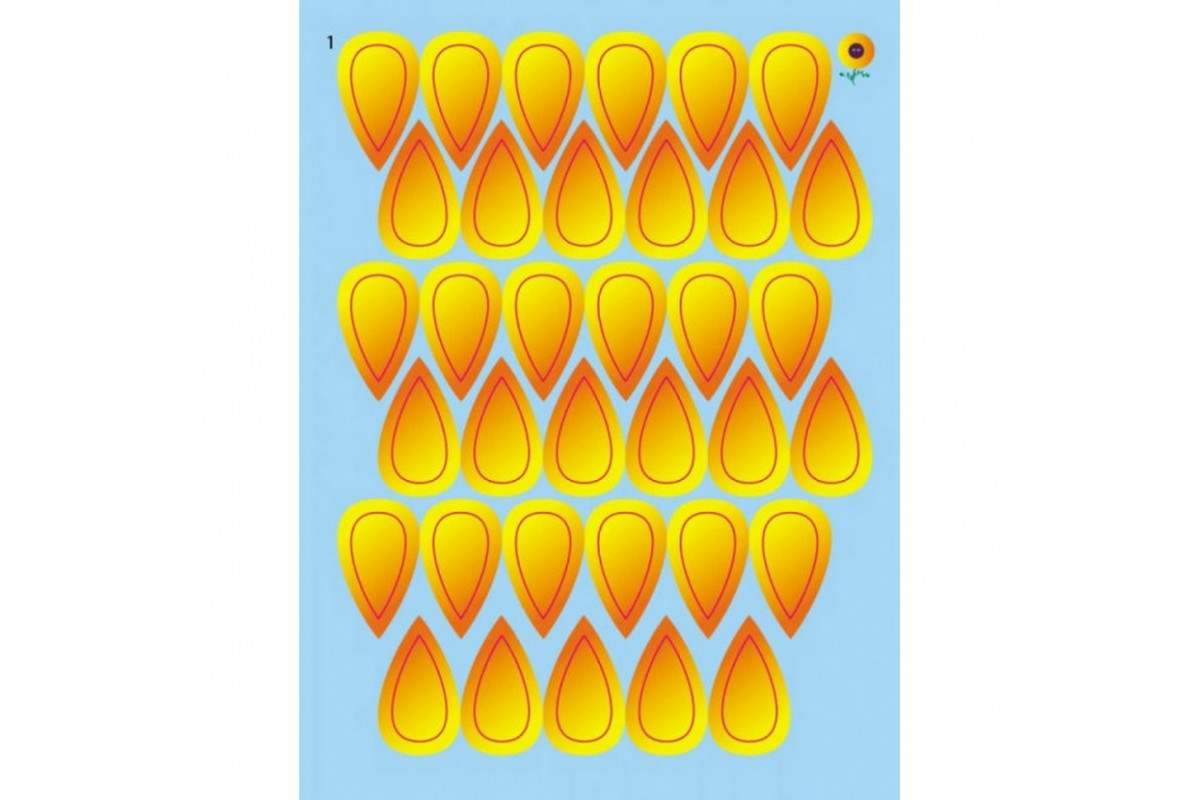 Детская книга "Стикеркартинки: Бабочки и цветы" АРТ 18804 укр