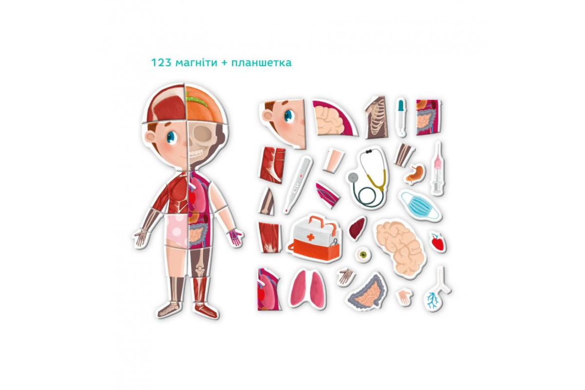 Розвиваюча магнітна гра "Людське тіло" DoDo 200220