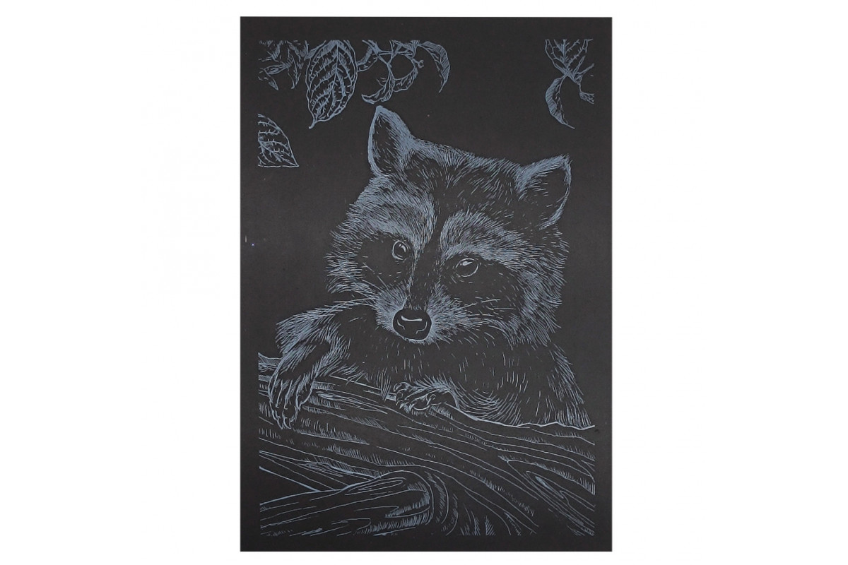 Гравюра А5 "Енот" ГрА5с-24 эконом вариант в пакете 21 х 14,8 см