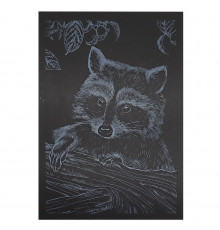 Гравюра А5 "Енот" ГрА5с-24 эконом вариант в пакете 21 х 14,8 см