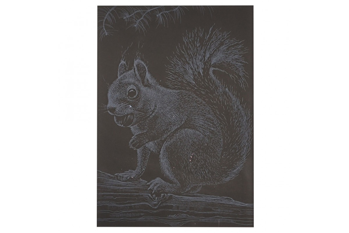 Гравюра А5 "Белочка" ГрА5с-22 эконом вариант в пакете 21 х 14,8 см