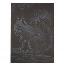 Гравюра А5 "Белочка" ГрА5с-22 эконом вариант в пакете 21 х 14,8 см