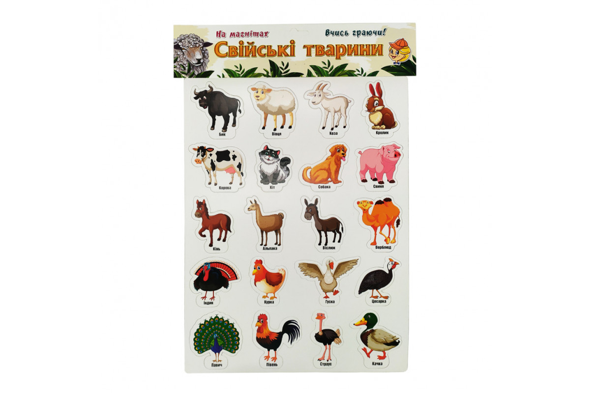 Набор магнитов  "Домашние животные" Artos 1243ATS Укр. 20 шт.