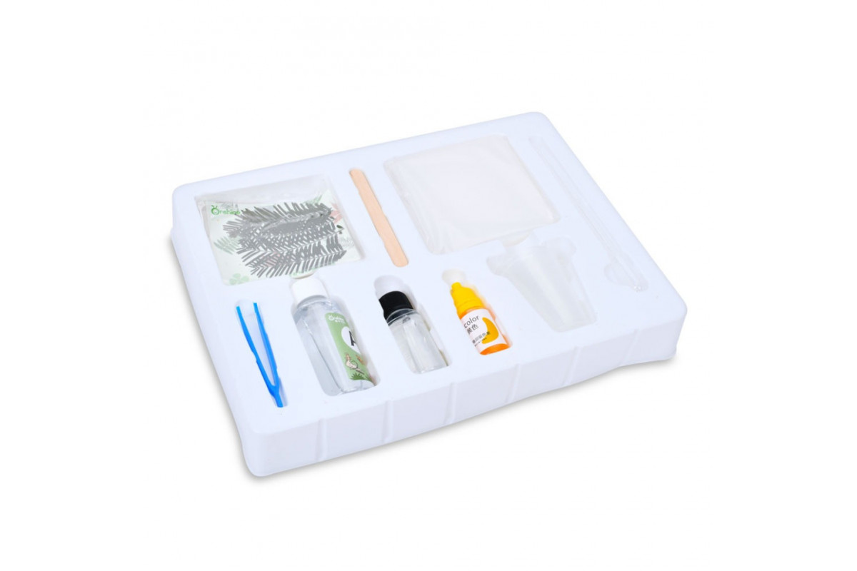 Детский набор для творчества "Cухоцвет" FG231102004M, пинцет, краска, застывающая жидкость