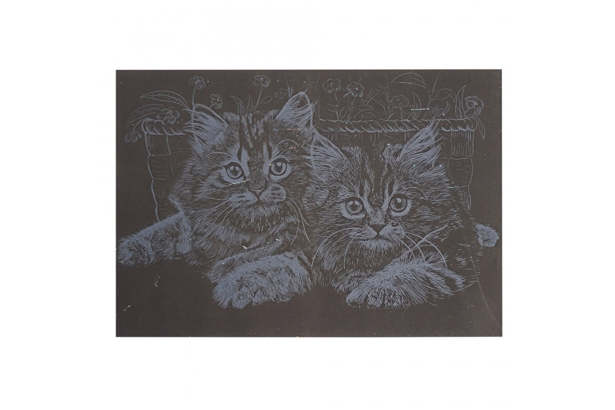 Гравюра А5 "Котики" ГрА5с-20 эконом вариант в пакете 21 х 14,8 см