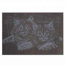 Гравюра А5 "Котики" ГрА5с-20 эконом вариант в пакете 21 х 14,8 см