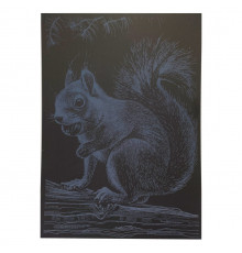 Гравюра А4 "Белка" ГрА4-1с эконом вариант в пакете 29,7х21 см