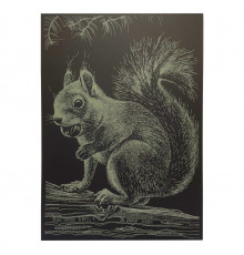 Гравюра А4 "Белка" ГрА4-1з эконом вариант в пакете 29,7х21 см