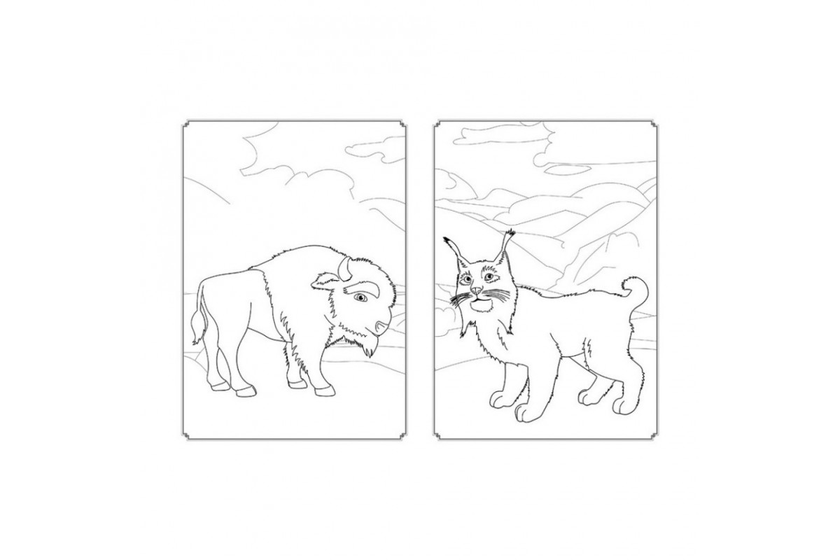 Раскраска Магия цвета. Вселенная Мавки Ранок 1807001 с наклейками