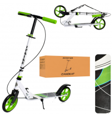 Самокат детский iTrike SR2-008-WGR складной