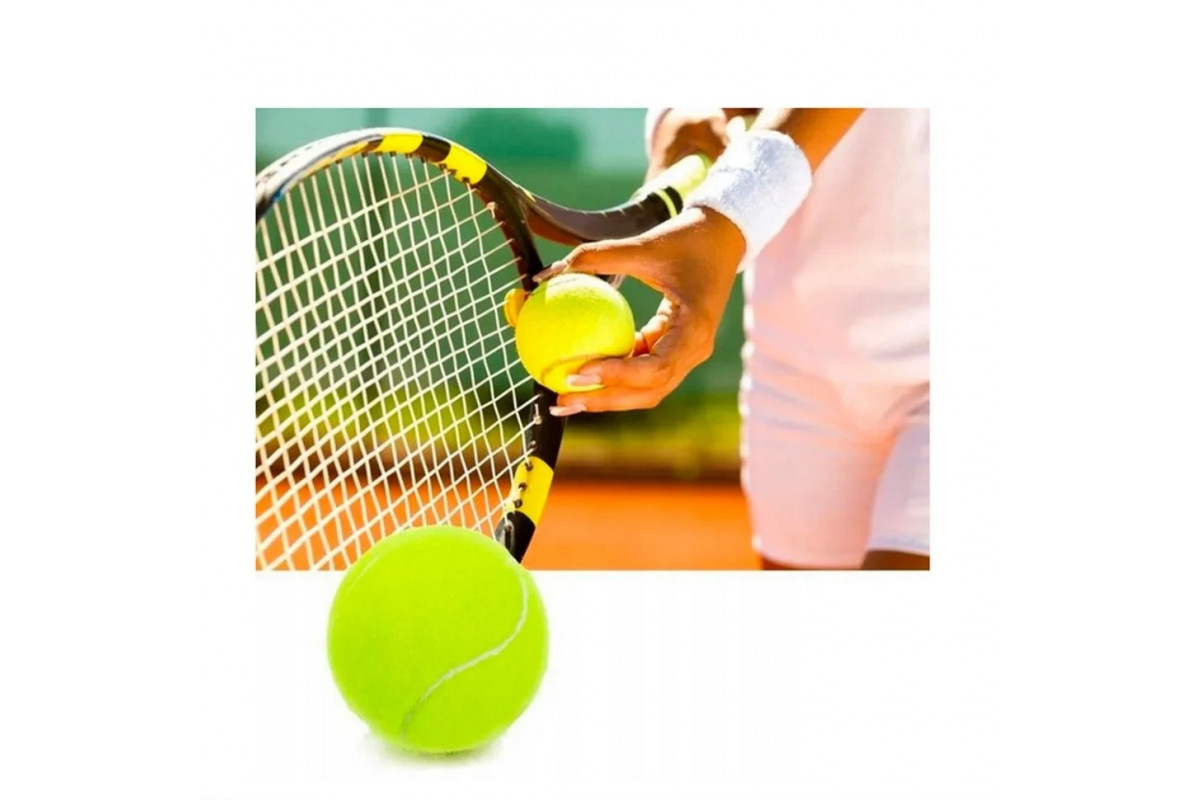 Набор мячей для большого тенниса SWDN Tennis Ball NE-TT-12 в чехле 12 штук