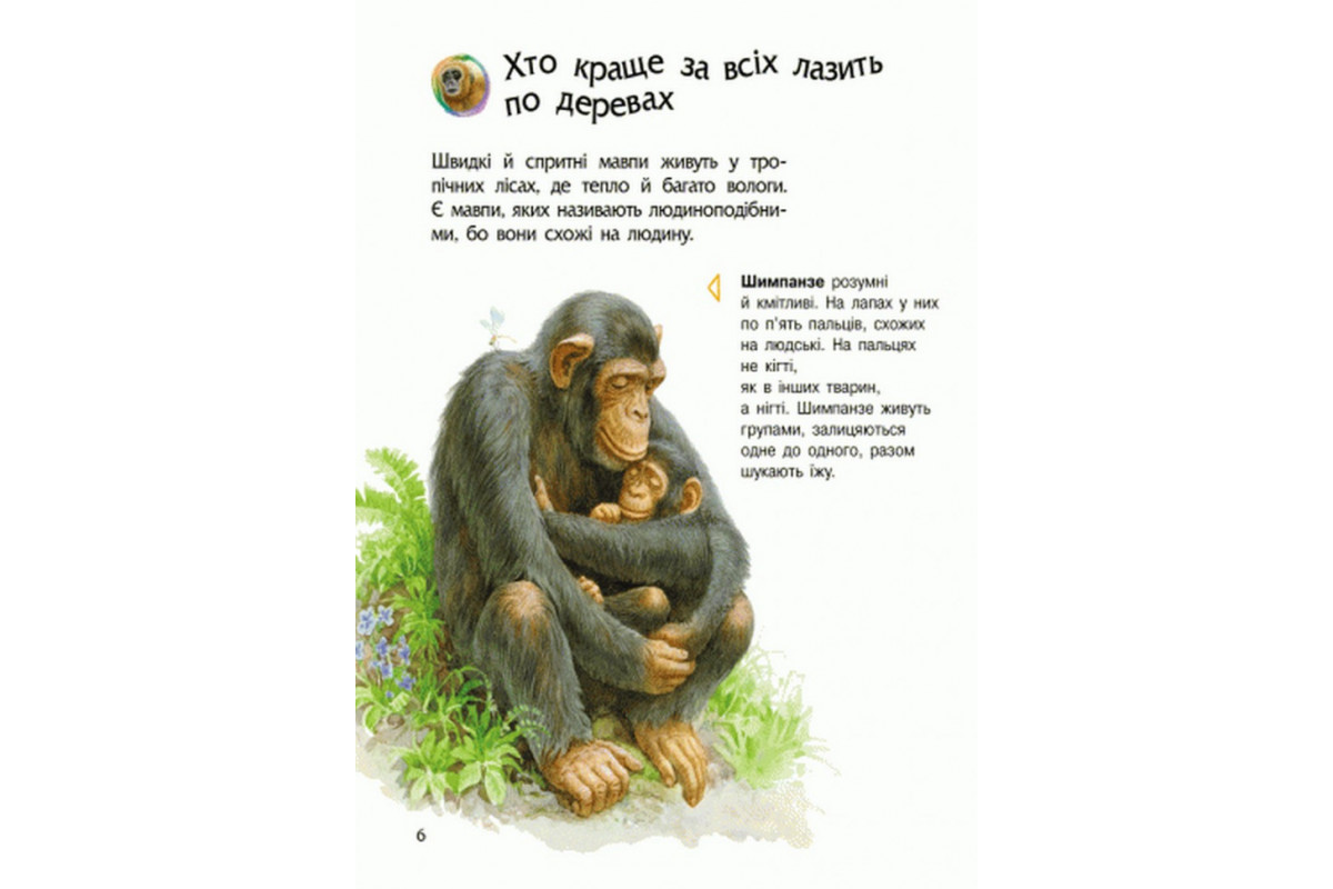 Детская энциклопедия про животных 614005 для дошкольников