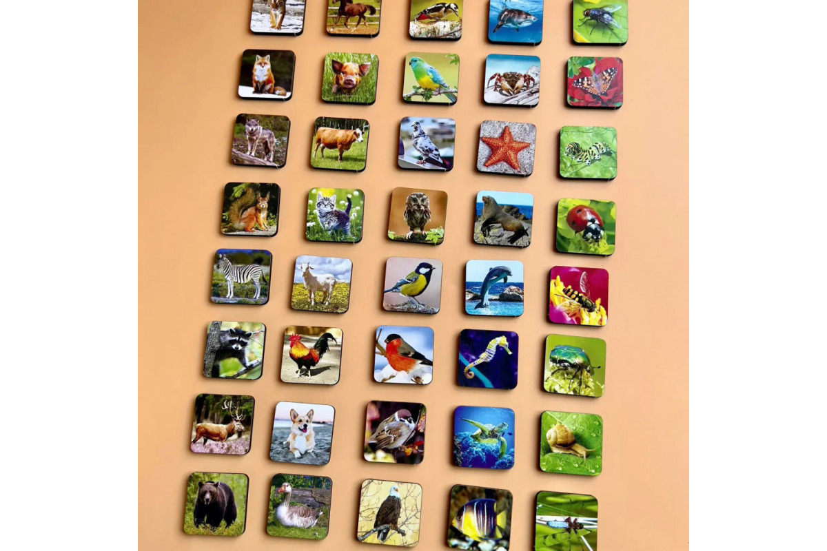 Настольная развивающая игра "Виды животных" Ubumblebees (ПСФ110) PSF110 комодик-сортер