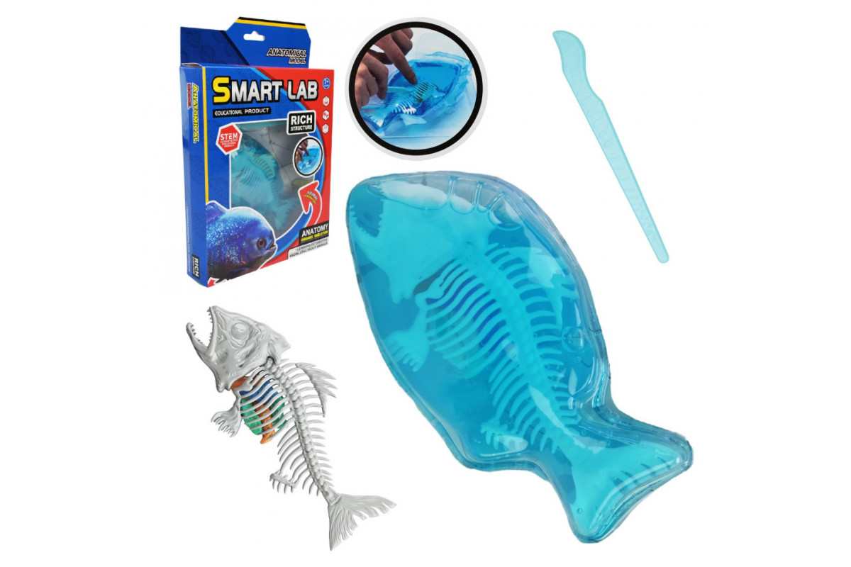 Детский лабораторный набор "Пиранья" 802B, скелет, внутренние органы
