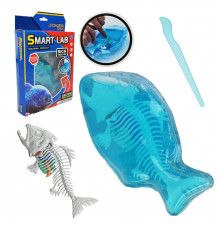Детский лабораторный набор "Пиранья" 802B, скелет, внутренние органы