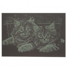Гравюра А5 "Котики" ГрА5з-3 эконом вариант в пакете 21 х 14,8 см