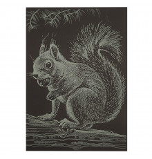 Гравюра А5 "Белочка" ГрА5з-13 эконом вариант в пакете 21 х 14,8 см