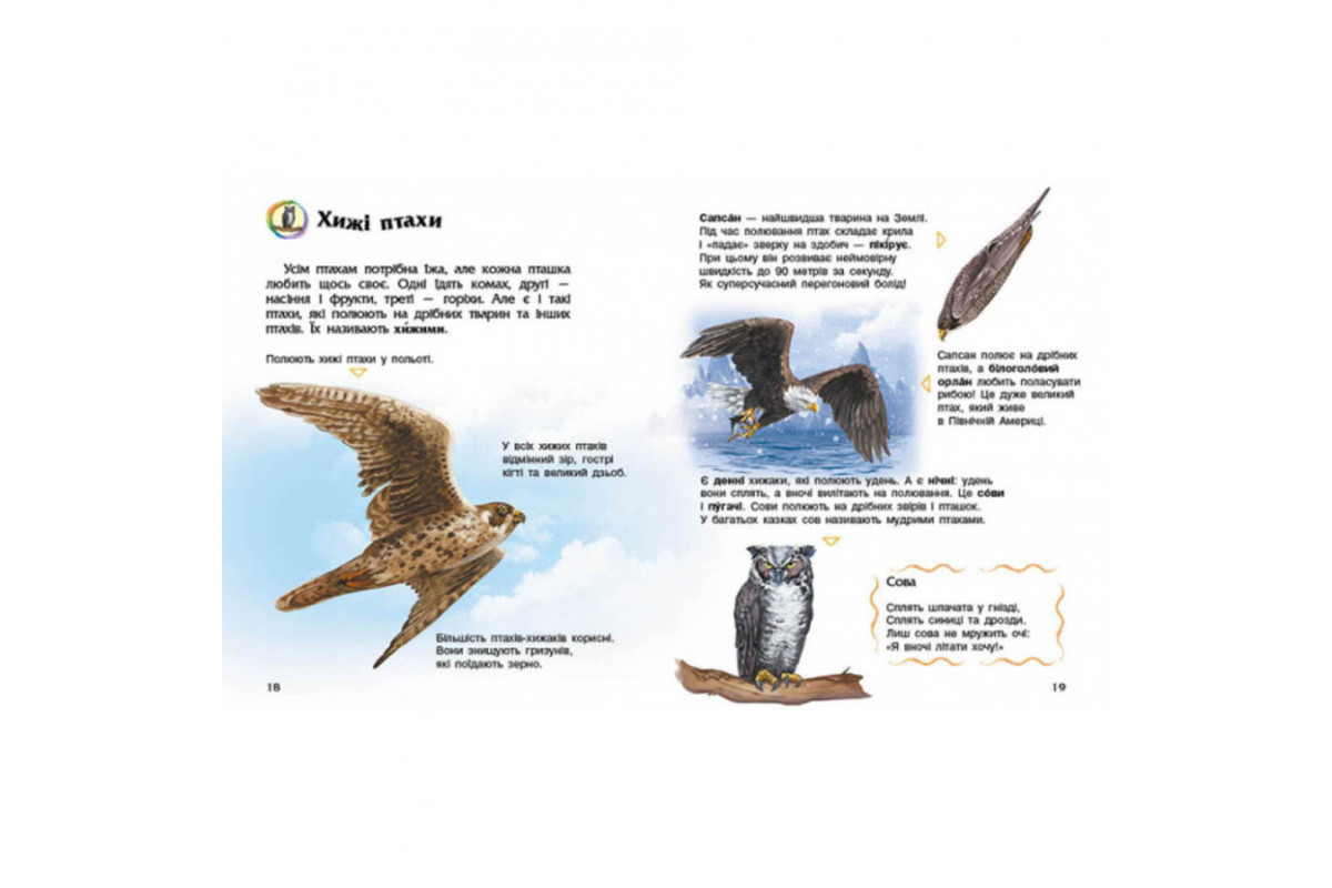 Энциклопедия дошкольника Птицы 614032 для самых маленьких