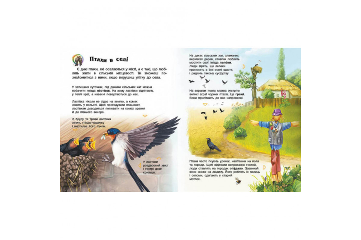 Энциклопедия дошкольника Птицы 614032 для самых маленьких