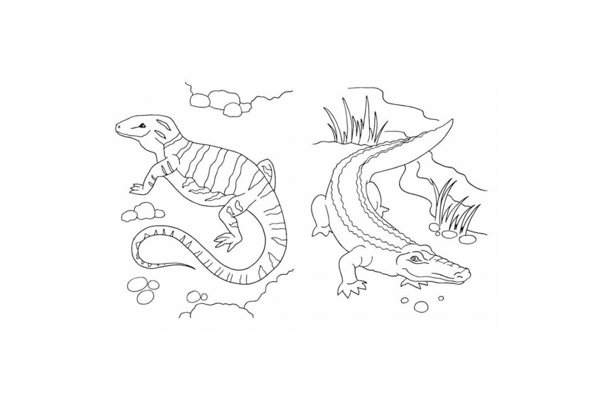 Велика книга розмальовок Тварини 1736031, 64 сторінки