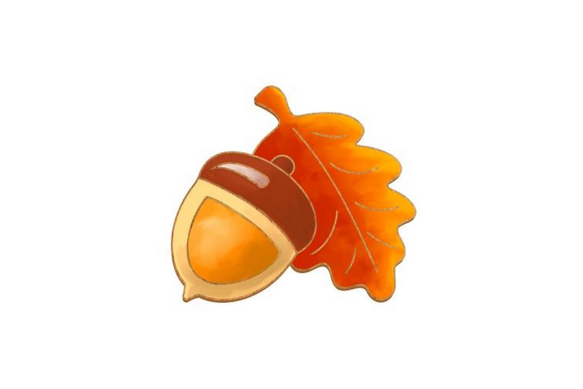 Заготовка брошки для розфарбовування "Жолудь з дубовим листом" FDZB-103