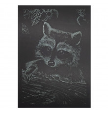 Гравюра А5 "Енот" ГрА5з-10 эконом вариант в пакете 21 х 14,8 см