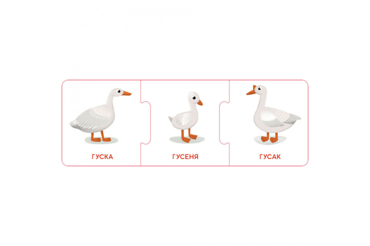 Логические цепочки "Малыши животные и их семьи" 1782001 на украинском языке