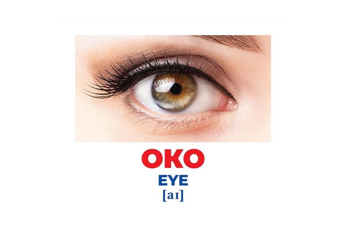 Набор развивающих карточек Гений с пеленок "Строение тела" Ранок 10107202, 17 карточек