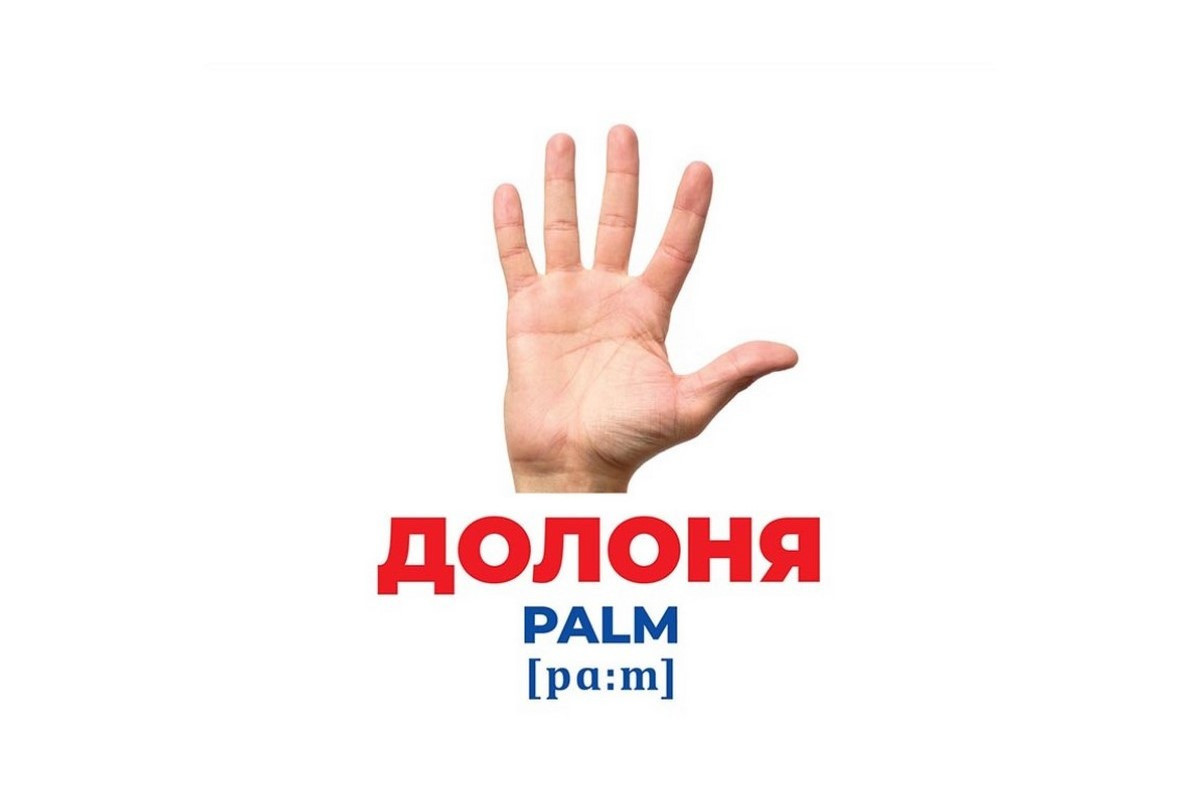 Набор развивающих карточек Гений с пеленок "Строение тела" Ранок 10107202, 17 карточек