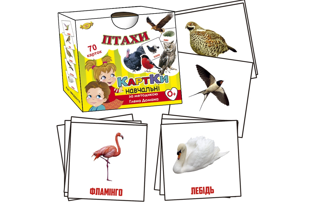 Обучающие карточки Глена Домана. "Птицы" MKD0018