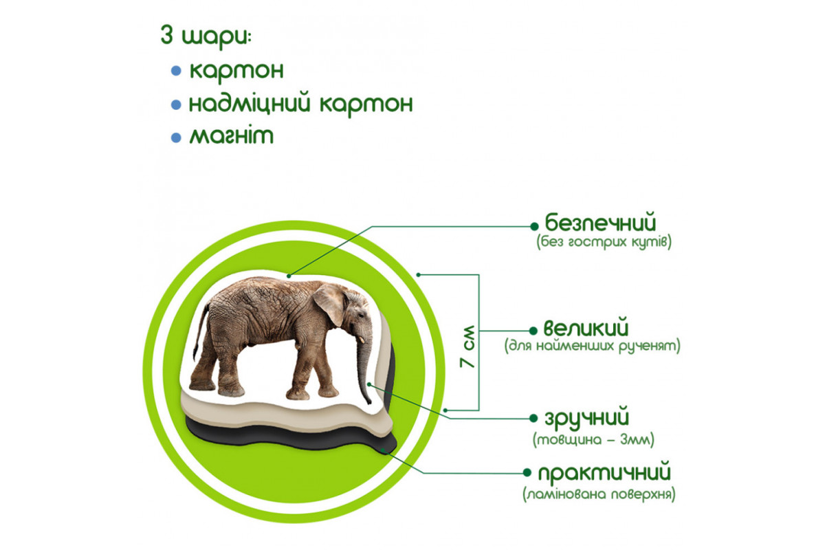 Набір магнітів Зоо 19шт ML4031-02 EN