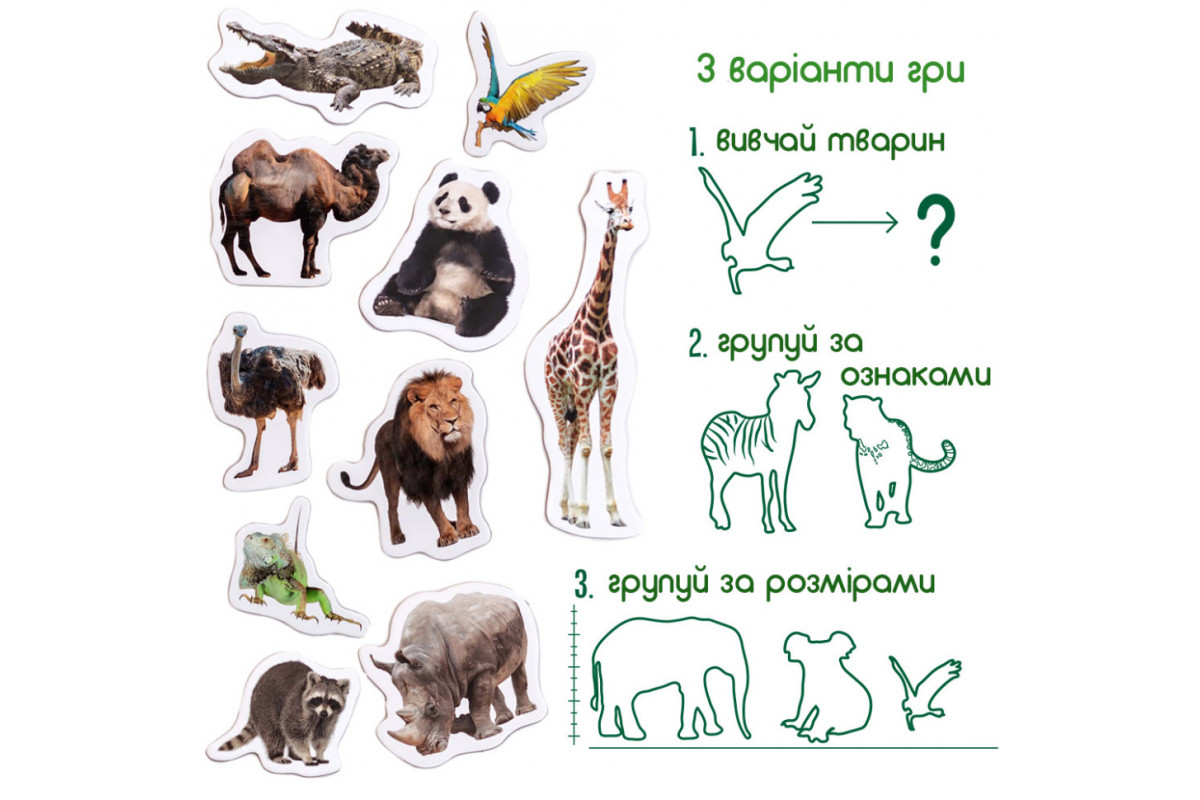 Набір магнітів Зоо 19шт ML4031-02 EN