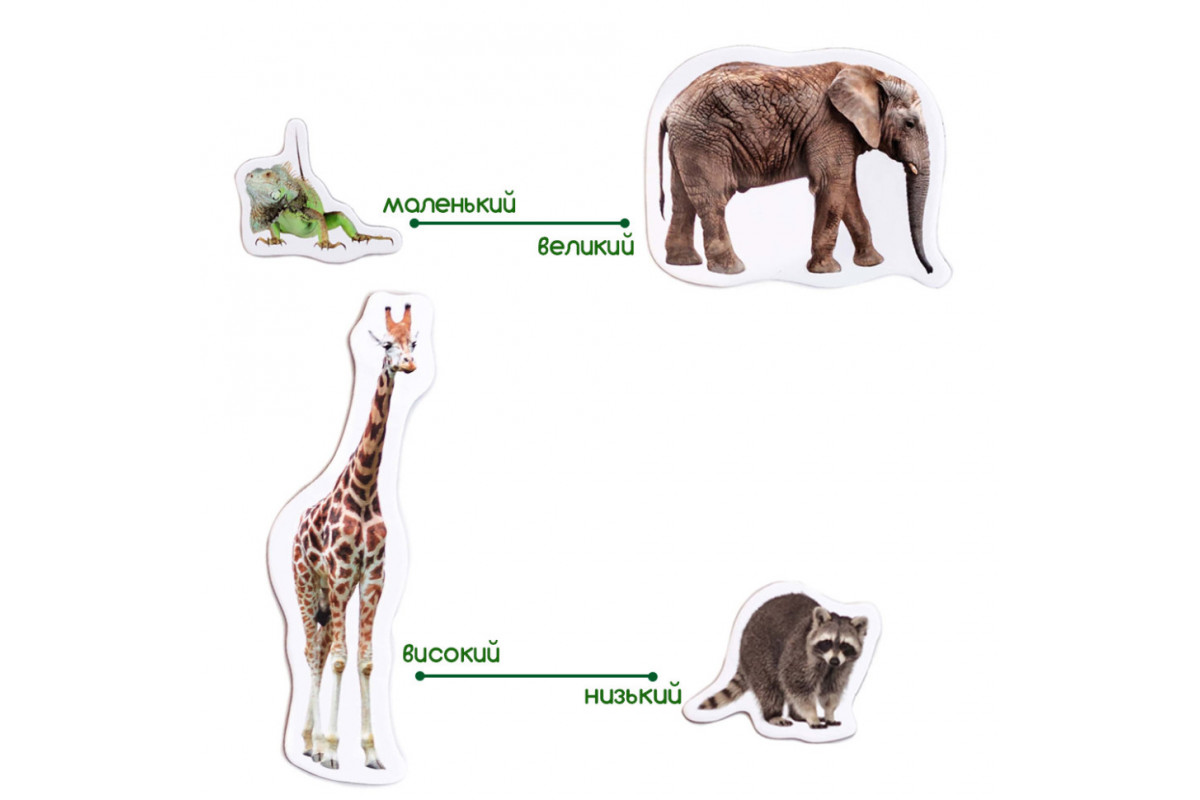 Набір магнітів Зоо 19шт ML4031-02 EN