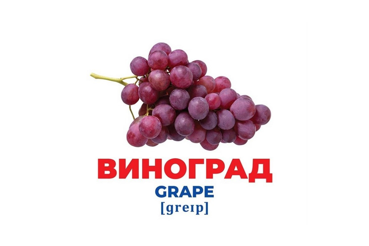 Набор развивающих карточек Гений с пеленок "Фрукты и ягоды" Ранок 10107195У, 17 карточек